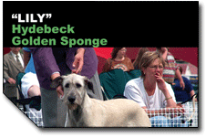 Heathview Ad Series
