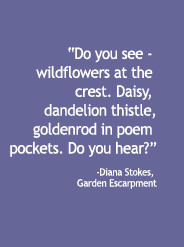 Garden Excarpment