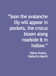 Poem Verse