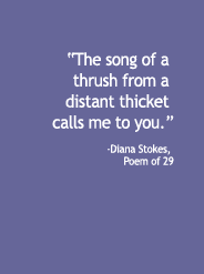 Poem of 29